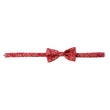 Pomegranate Bow Tie